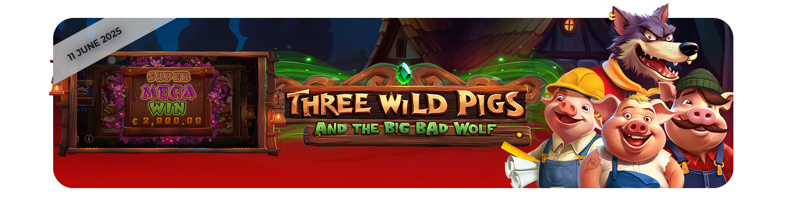 Three Wild Pigs